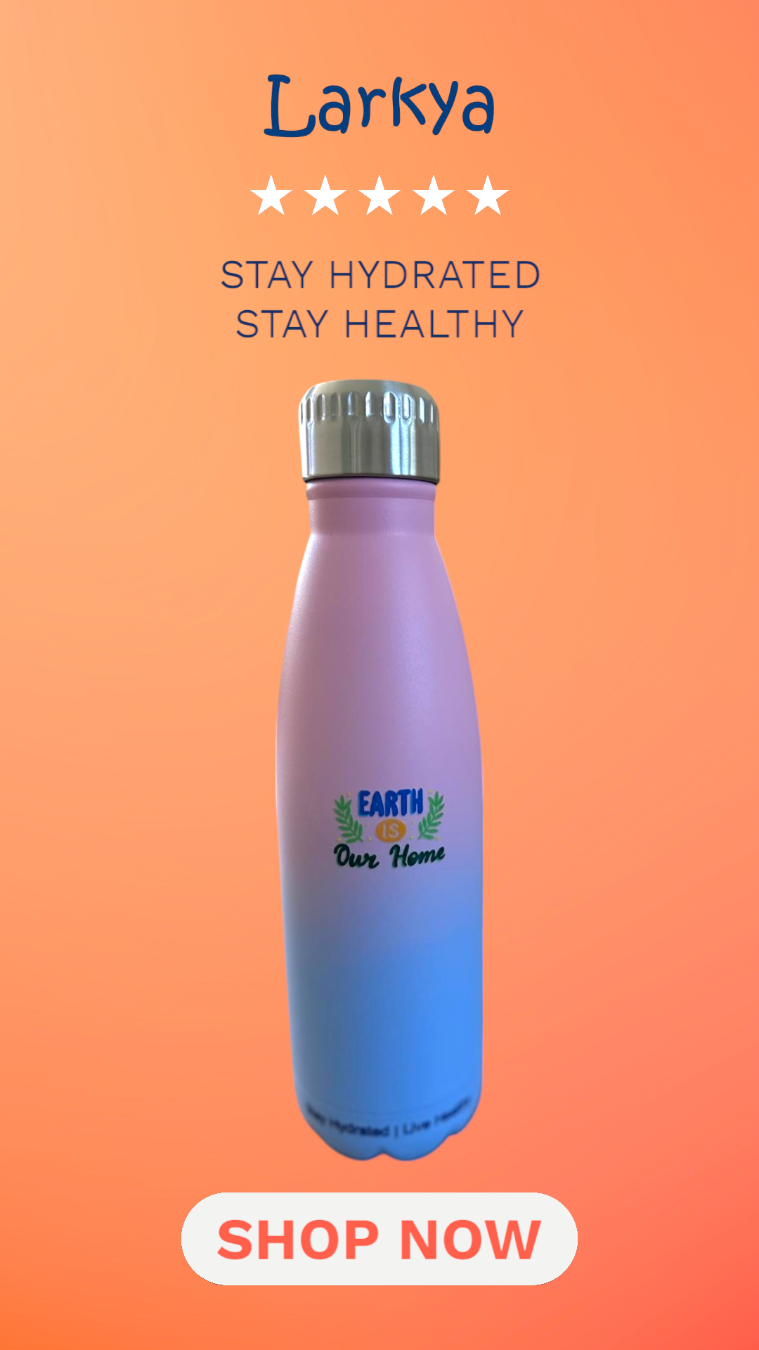Pink blue classic stainless steel reusable 17OZ water bottle